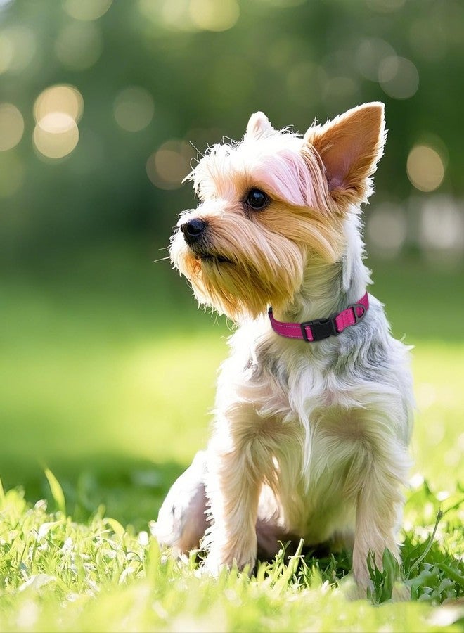 Joytale Small Dog Collar, Reflective and Adjustable Nylon Collar with Quick-Release Buckle, Lightweight No-Choke Design for Small Dogs, Hotpink, 5/8" Width - Image 2